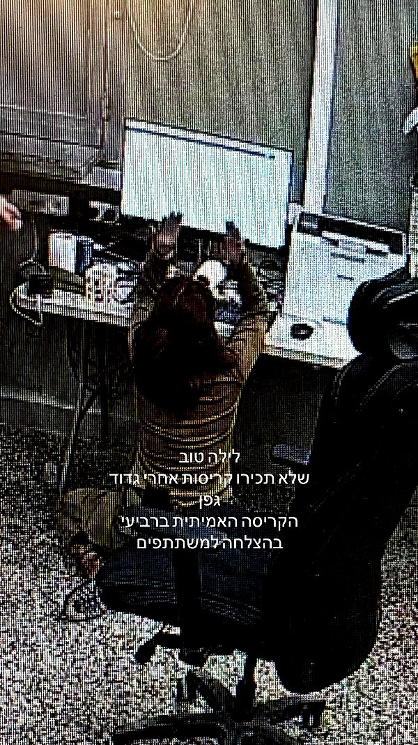 rei.sigalov archive video preview