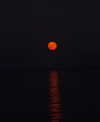 nomagdalina Altpins Profile Picture