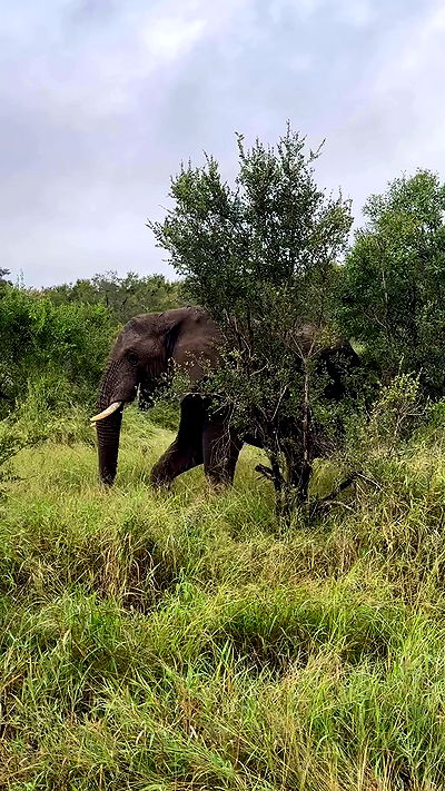 taylor.creeden taylor.creeden archive video