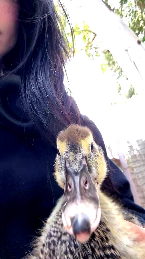 feelbetterinmysweater archive video preview