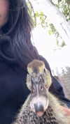 feelbetterinmysweater Altpins Profile Picture