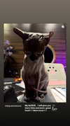 darkstar_mia Altpins Profile Picture