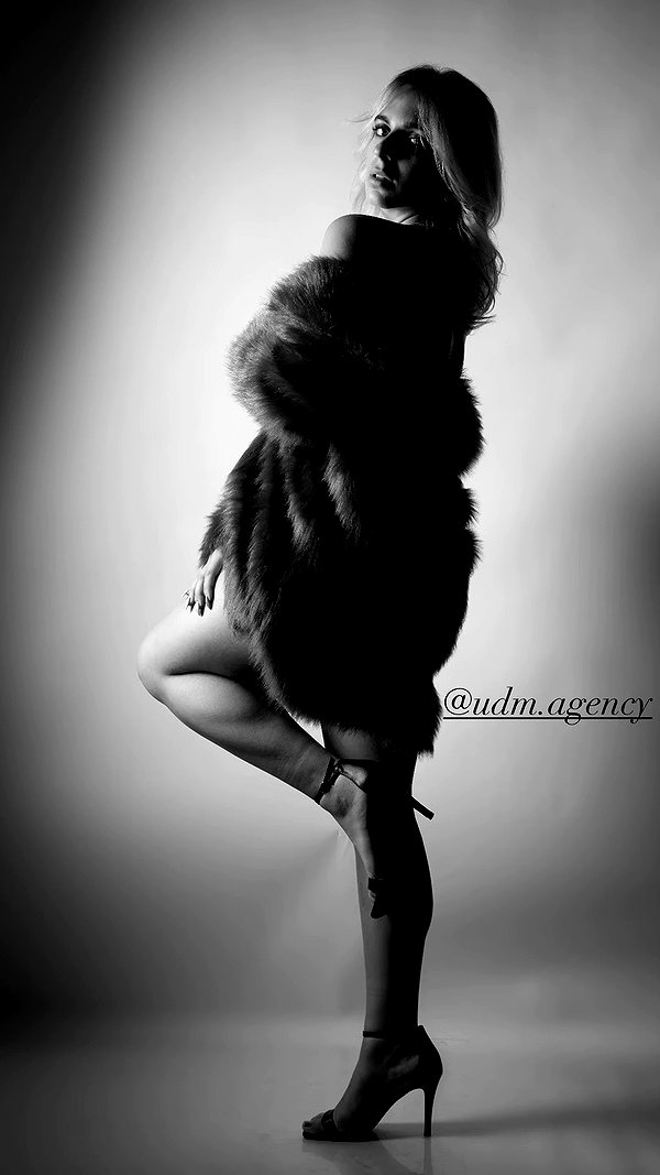 galibilaus archive video preview