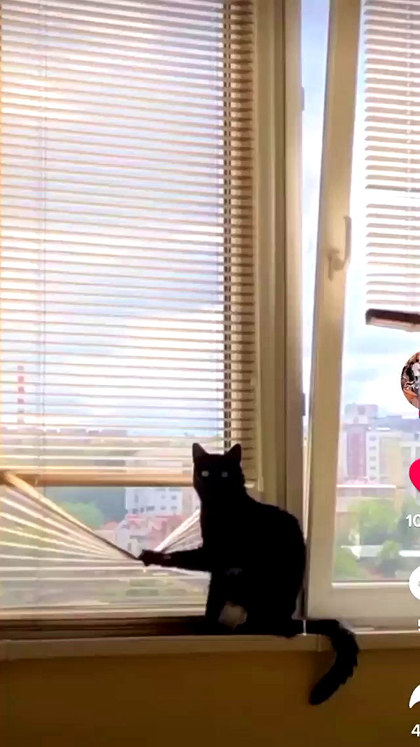ptpchik archive video preview