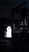 federica.piccinni Altpins Profile Picture