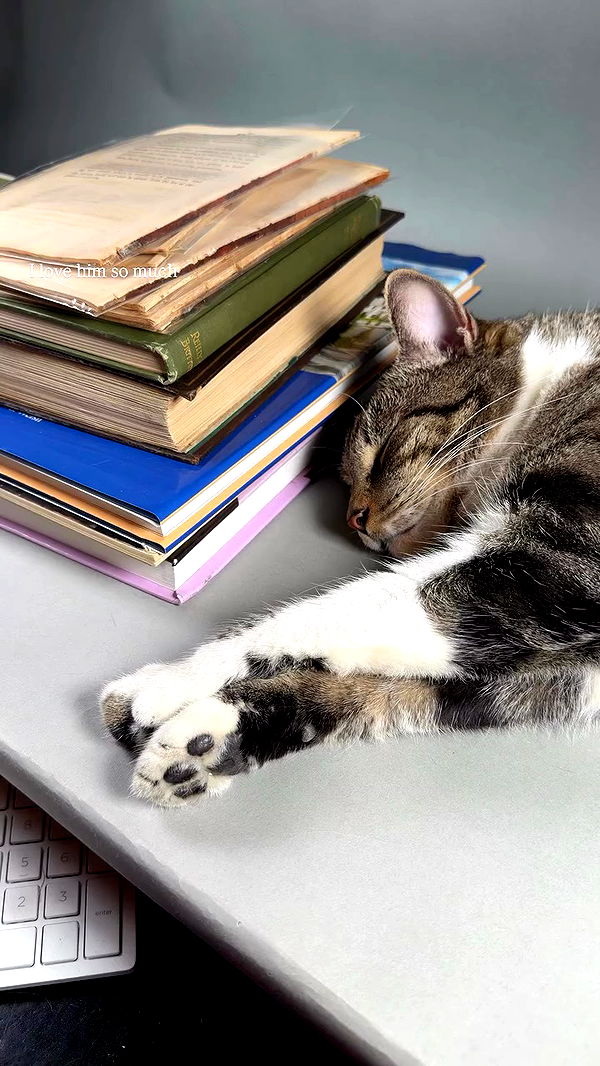 miakhalifa archive video preview