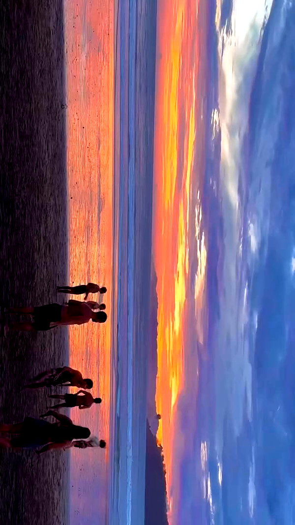 michalcohen___ archive video preview