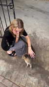 katrina.zaiceva Altpins Profile Picture