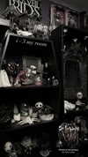 bat.wiings Altpins Profile Picture