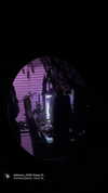 bat.wiings Altpins Profile Picture