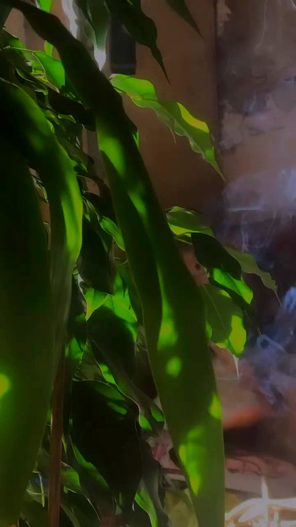 alisen.mari archive video preview