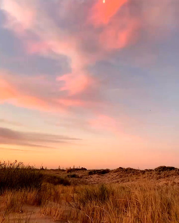 sullivang_ archive video preview