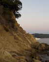 marlene_808 Altpins Profile Picture