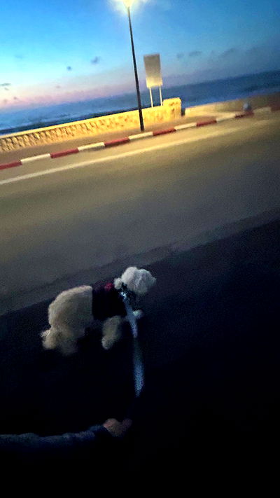 feelbetterinmysweater feelbetterinmysweater archive video