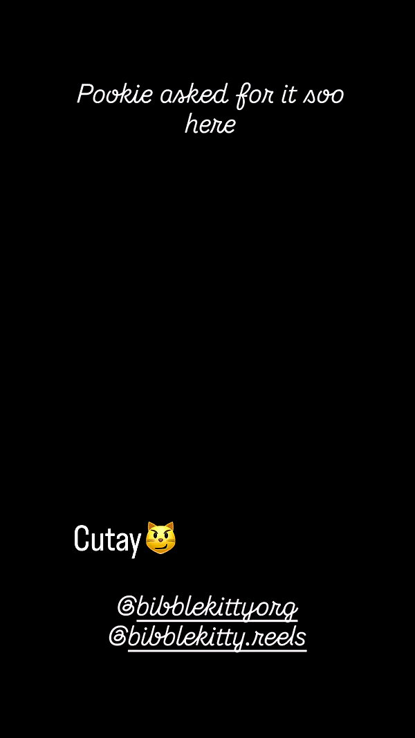 bibblekittyorg archive video preview