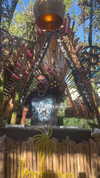 lian_sabag8 Altpins Profile Picture