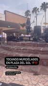 violetpau_ Altpins Profile Picture