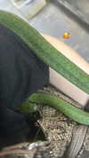 6a6ayaga3 Altpins Profile Picture