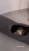 sonia_litvanchuk Altpins Profile Picture