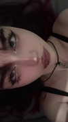 pavuk1_0 Altpins Profile Picture