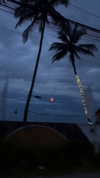 maya.keyy Altpins Profile Picture