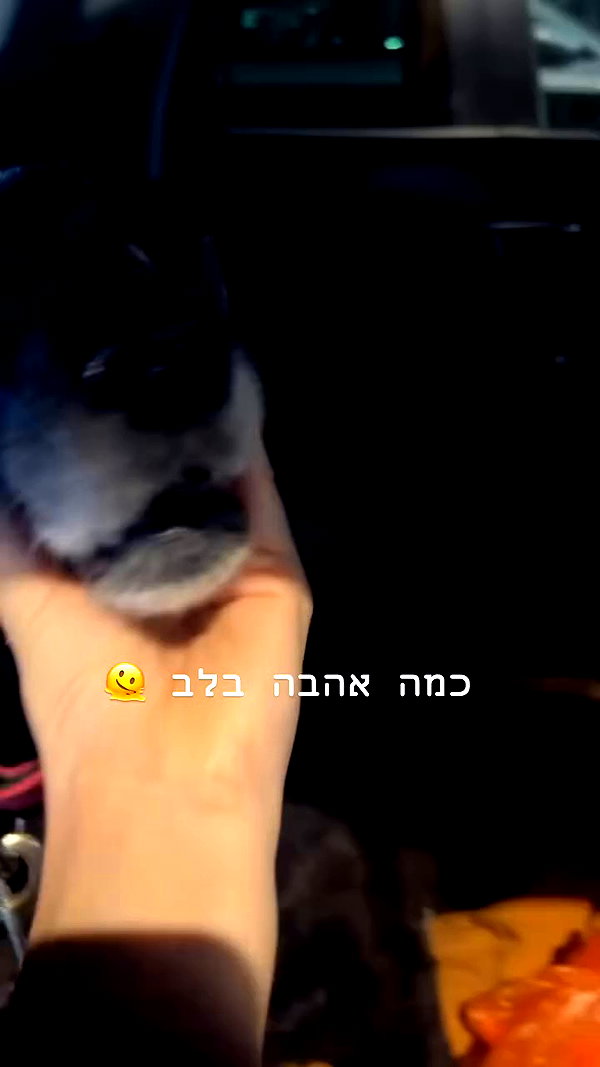 hodaya_glam12 archive video preview