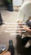 orman.mariee Altpins Profile Picture