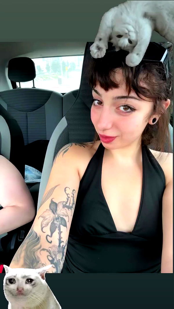 romy_ayalla_lavi archive video preview