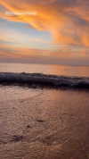 tirtza_cohen Altpins Profile Picture