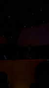 michalcohen___ Altpins Profile Picture
