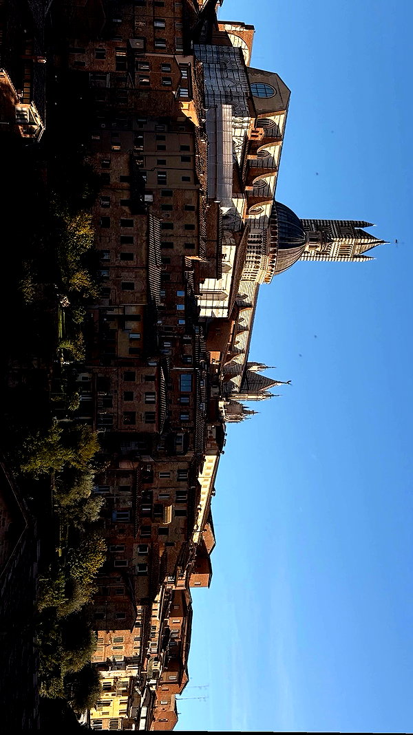 _.shelichka._ archive video preview