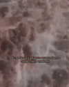 lerkamiill Altpins Profile Picture