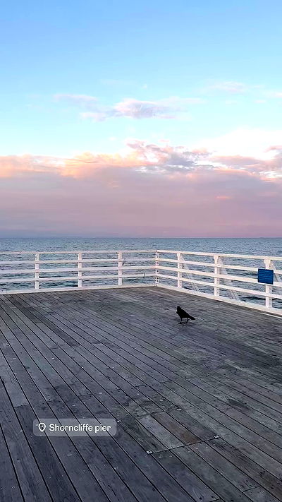 giangg._ giangg._ archive video