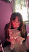 natalllluli Altpins Profile Picture
