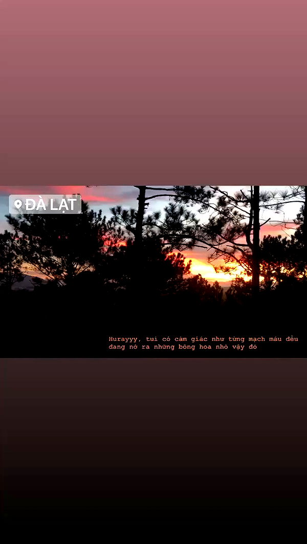 peaceplusyou archive video preview