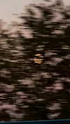 yoo.mon Altpins Profile Picture
