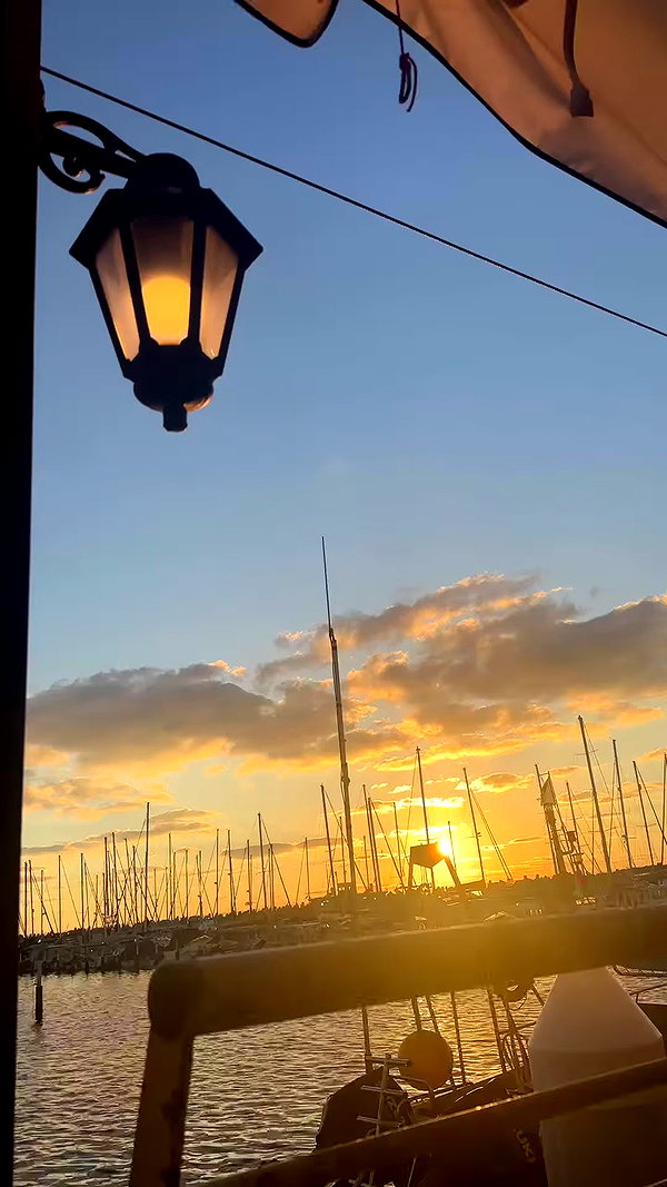 yuli.barell archive video preview
