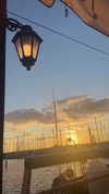 yuli.barell Altpins Profile Picture