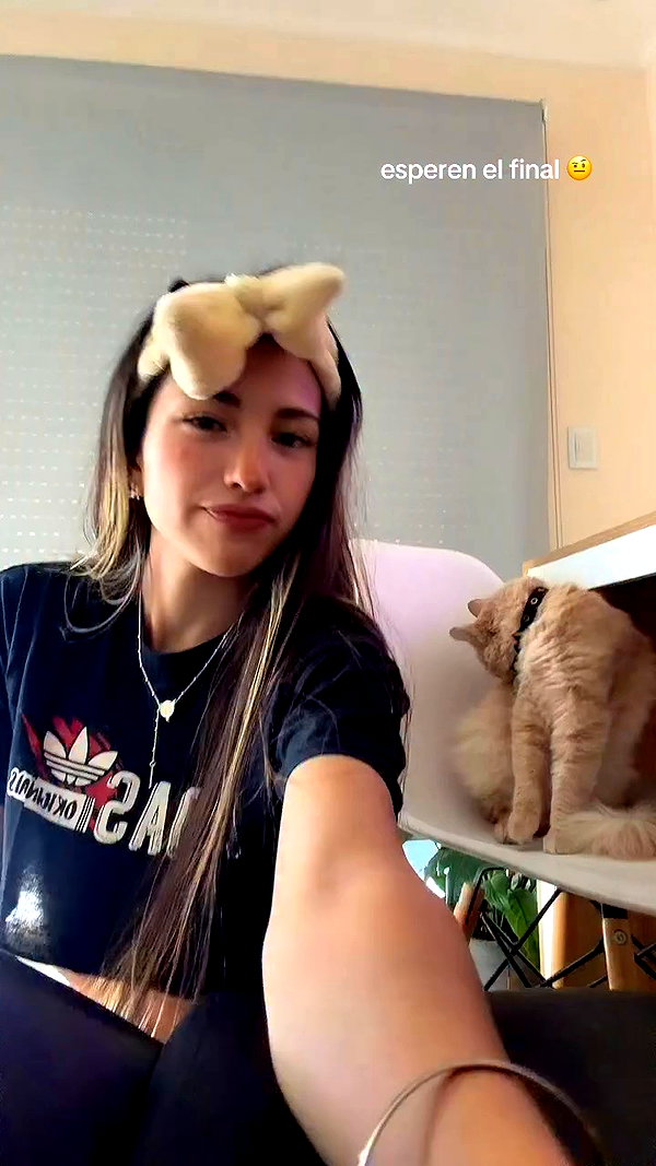 _aldibernardo archive video preview