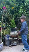 lotembar Altpins Profile Picture
