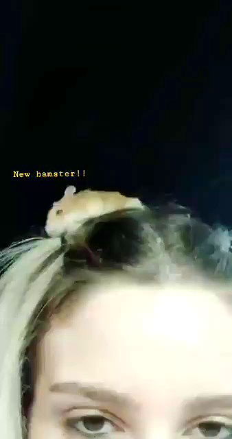 noyaislilith333 archive video preview