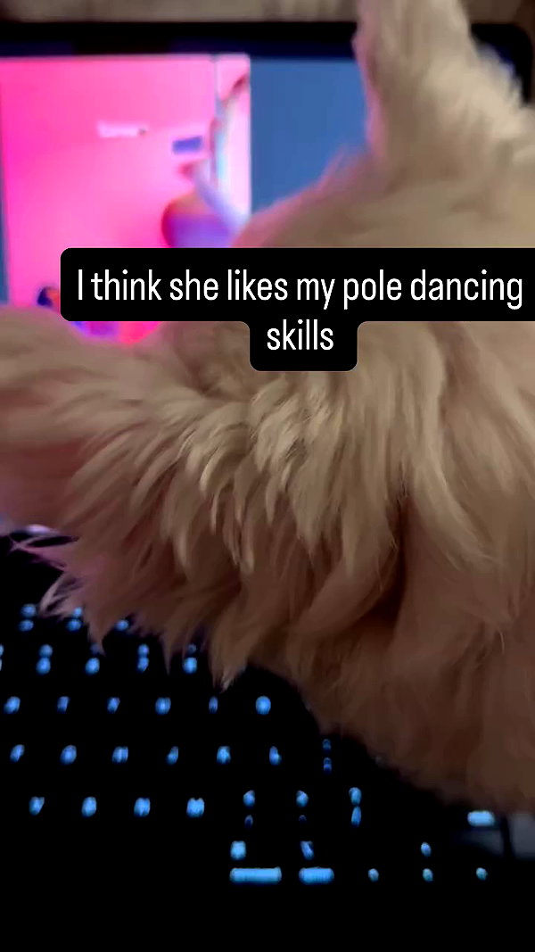 symonery archive video preview