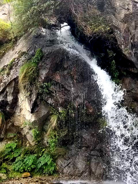 yulia.isakov archive video preview