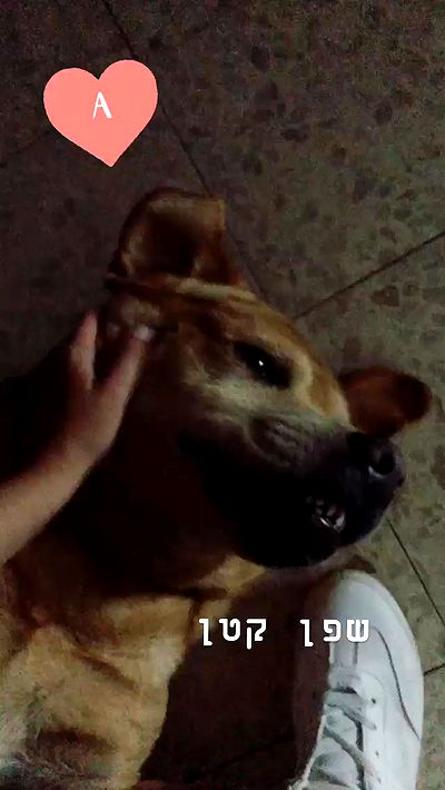 lissi77 lissi77 archive video