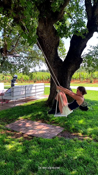 taylor.creeden taylor.creeden archive video