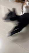 jiw_____n Altpins Profile Picture