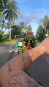 tirtza_cohen Altpins Profile Picture
