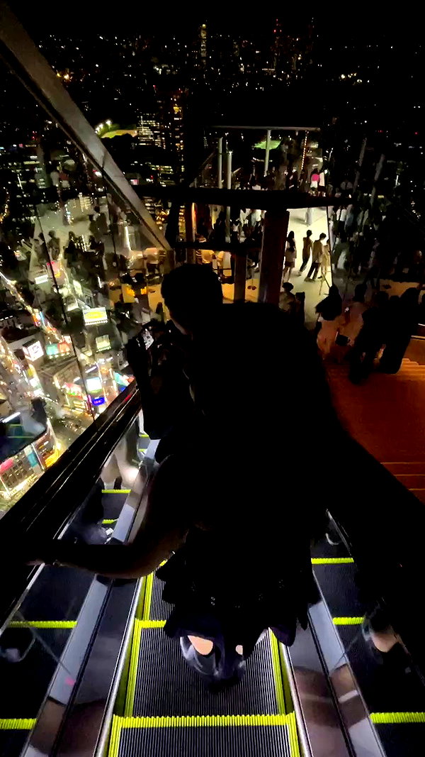 elsgatti archive video preview