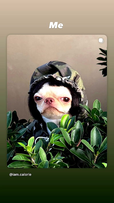 efrat_elmalich efrat_elmalich archive video