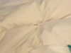 katehudson Altpins Profile Picture